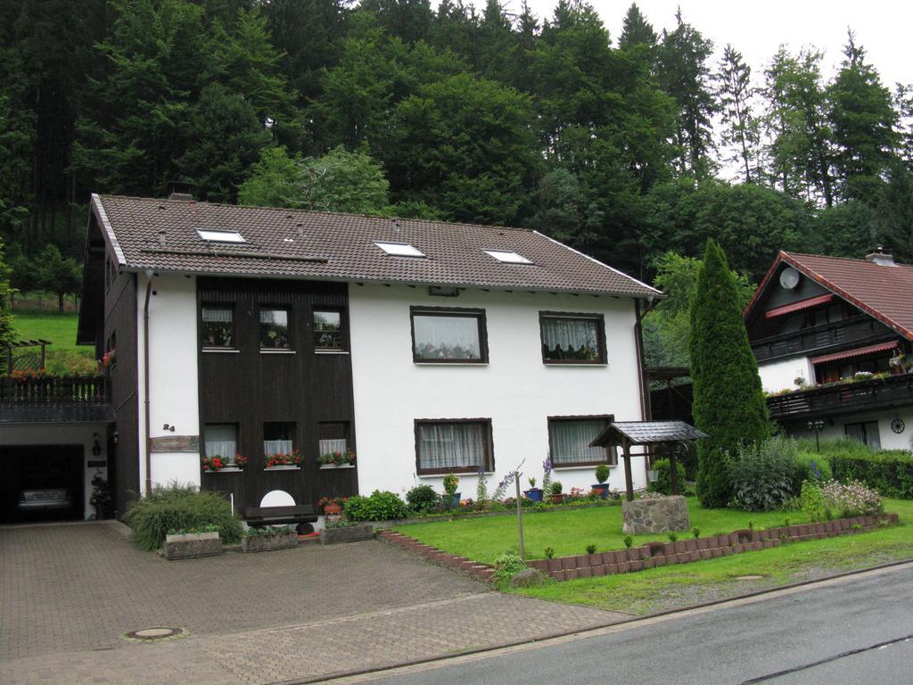 Ferienwohnung Gohlke Kamschlacken الغرفة الصورة